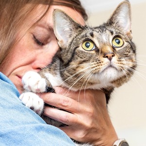 Fundraising Page: Amy Peiffer